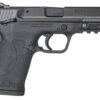 Smith & Wesson M&P Shield EZ .380 ACP: Empowering Ease and Performance