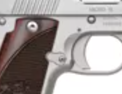 Kimber Micro 9 Stainless: Compact Elegance and Concealed Carry Excellence