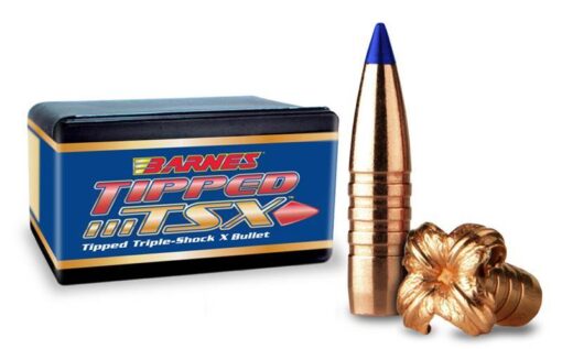 Barnes Tipped TSX .416in 350gr BT, Buy Ammunition Online In Adelaide